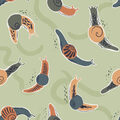 Image Not Available